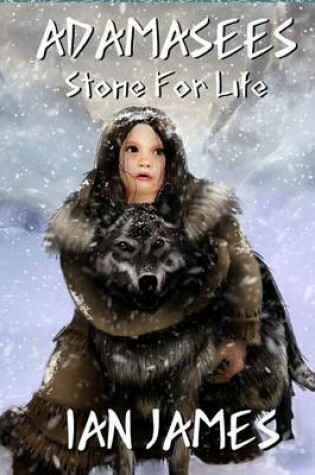 Cover of Stone for Life