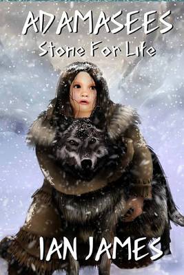 Book cover for Stone for Life