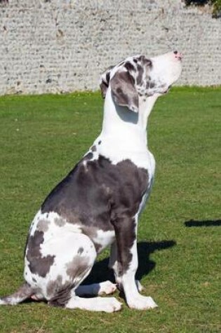 Cover of Harlequin Great Dane Puppy, for the Love of Dogs