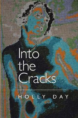 Book cover for Into the Cracks