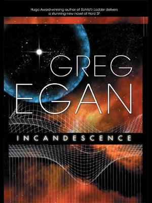 Book cover for Incandescence