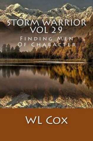 Cover of Storm Warrior Vol 29