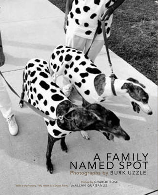 Book cover for A Family Named Spot