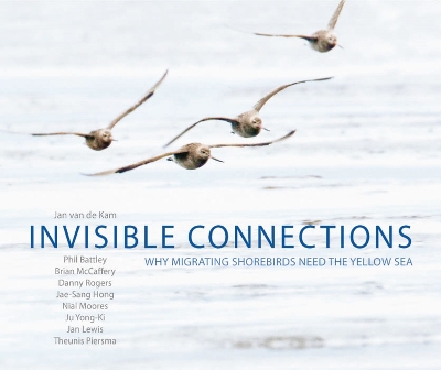 Book cover for Invisible Connections