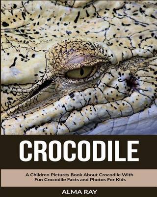 Book cover for Crocodile