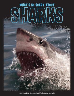 Cover of What's So Scary about Sharks?