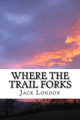 Book cover for Where the Trail Forks