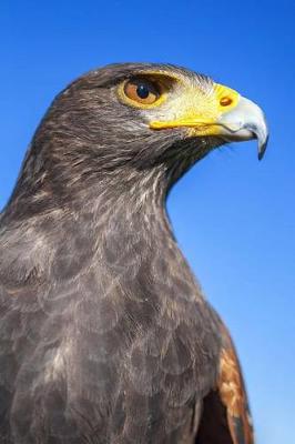 Book cover for Harris Hawk Journal