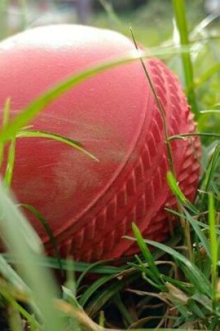 Cover of Cricket Ball in the Grass Journal