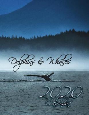 Book cover for Dolphins and Whales 2020 Calendar