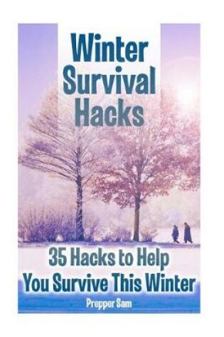 Cover of Winter Survival Hacks