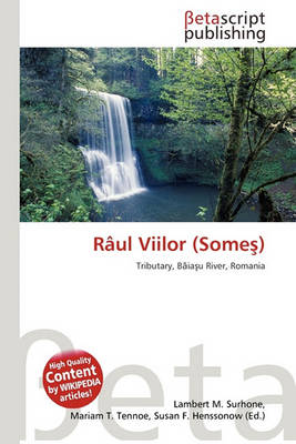 Cover of Raul Viilor (Some )