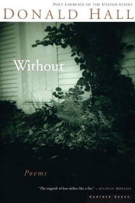 Book cover for Without