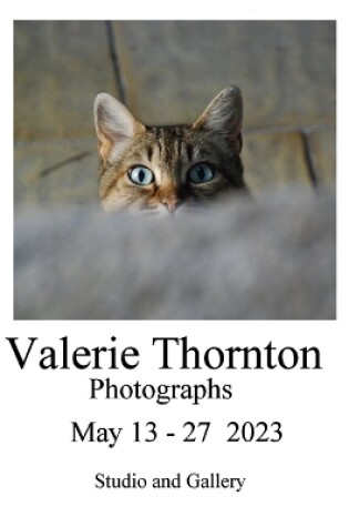 Cover of Valerie Thornton Exhibition