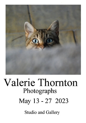 Book cover for Valerie Thornton Exhibition