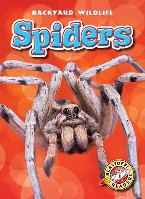 Cover of Spiders