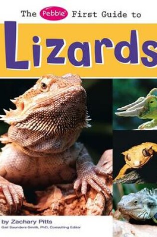 Cover of Lizards