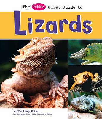 Cover of Lizards