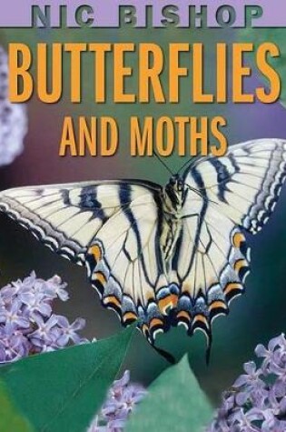 Cover of Nic Bishop: Butterflies and Moths