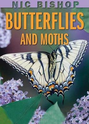 Book cover for Nic Bishop: Butterflies and Moths