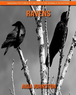 Book cover for Ravens