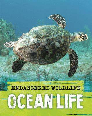 Book cover for Endangered Wildlife: Rescuing Ocean Life