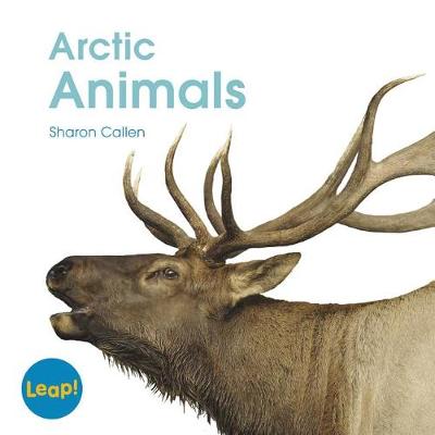 Book cover for Arctic Animals