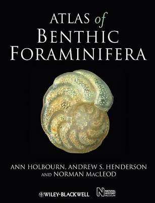 Book cover for Atlas of Benthic Foraminifera