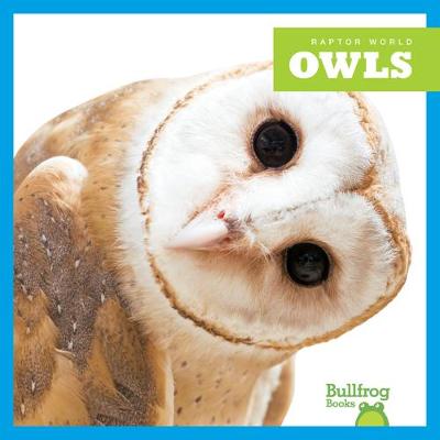 Cover of Owls