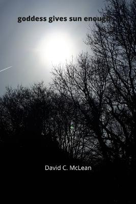 Book cover for goddess carries sun enough