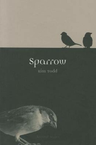 Cover of Sparrow