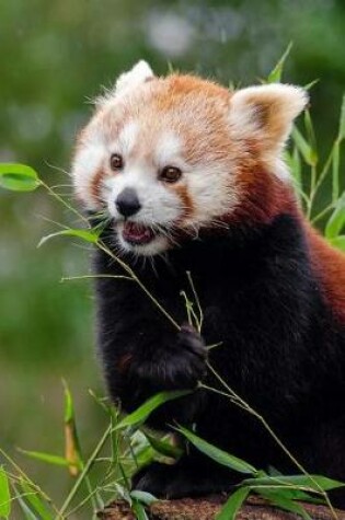 Cover of Mind Blowing Cute Red Panda Eating Bamboo 150 Page lined journal