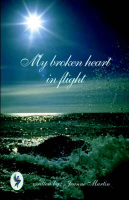 Book cover for My Broken Heart in Flight