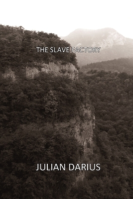 Book cover for The Slave Factory