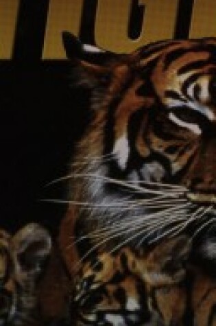 Cover of Animal Lives Tigers Us