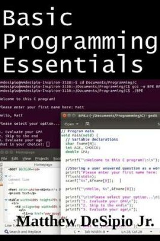 Cover of Basic Programming Essentials