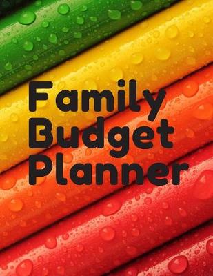 Book cover for Family Budget Planner