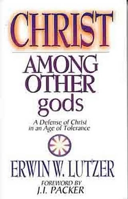 Book cover for Christ Among Other Gods