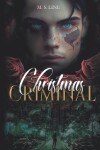 Book cover for Christmas Criminal