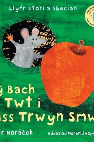 Cover of Tŷ Bach Twt i Miss Trwyn Smwt