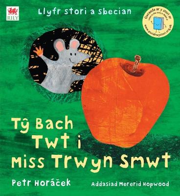 Book cover for Tŷ Bach Twt i Miss Trwyn Smwt