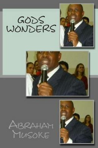 Cover of Gods Wonders