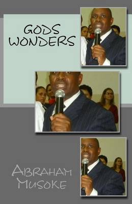 Book cover for Gods Wonders