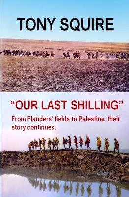 Cover of "Our Last Shilling"