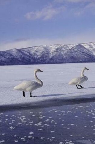 Cover of Journal Geese Frozen Winter Lake