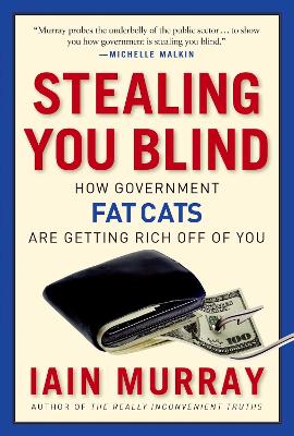 Book cover for Stealing You Blind