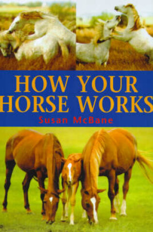 Cover of How Your Horse Works