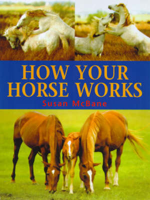 Book cover for How Your Horse Works