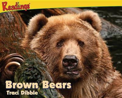 Cover of Brown Bears