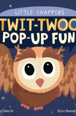 Cover of Twit-twoo Pop-up Fun